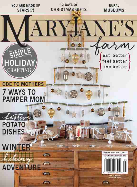 Magazine: All Is Bright (December-January 2024)