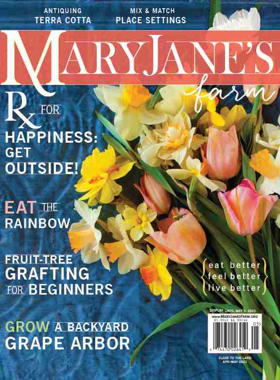 Magazine: Close to the Land (April-May 2021)