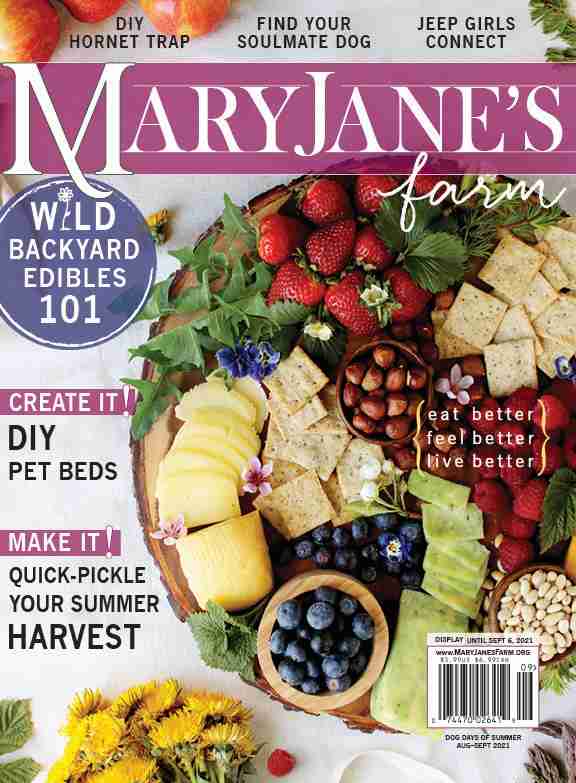 Magazine: Dog Days Of Summer (August-September 2021)
