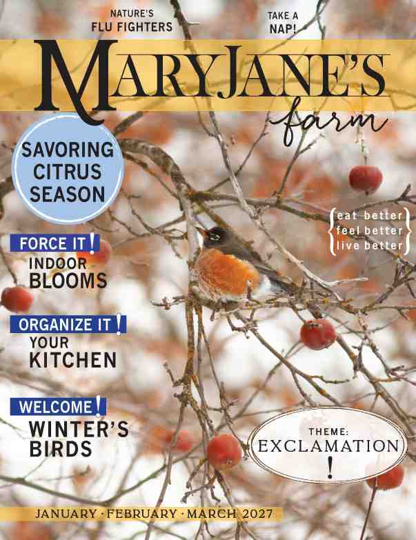 Magazine: Exclamation! (January-February-March 2027)