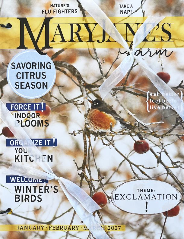 Magazine: Exclamation! (January-February-March 2027)