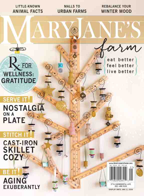 Magazine: It's A Wonderful Life (December-January 2026)