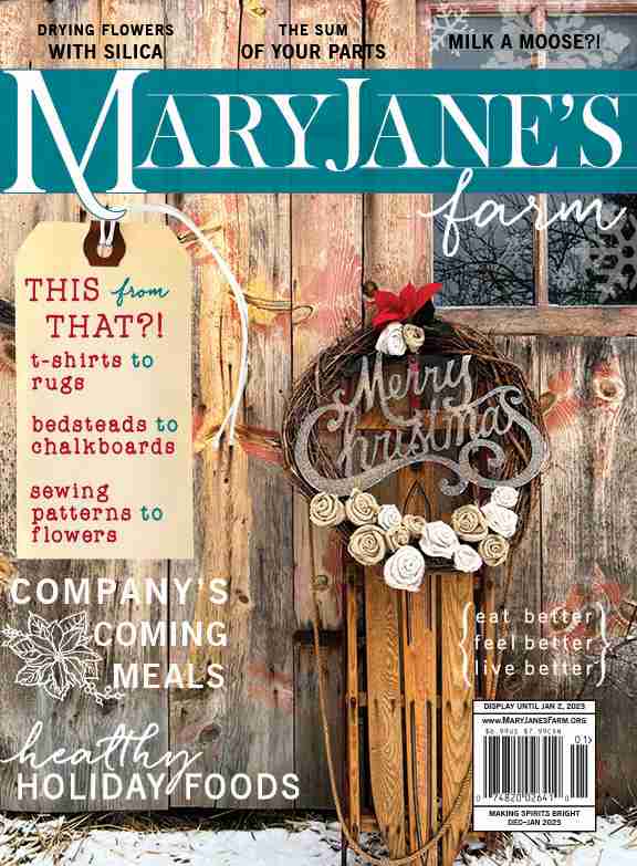 Magazine: Making Spirits Bright (December-January 2023)