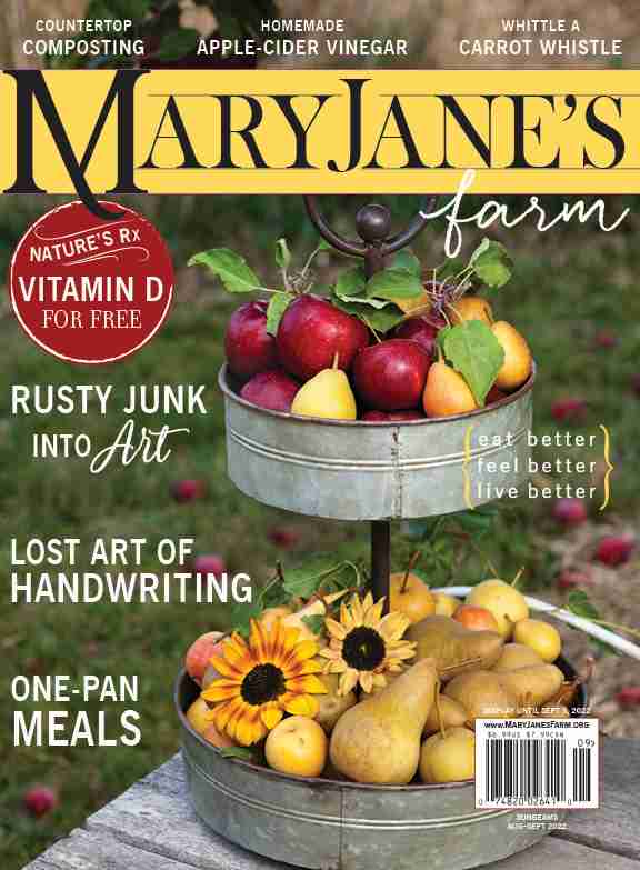 Magazine: Sunbeams (August-September 2022)