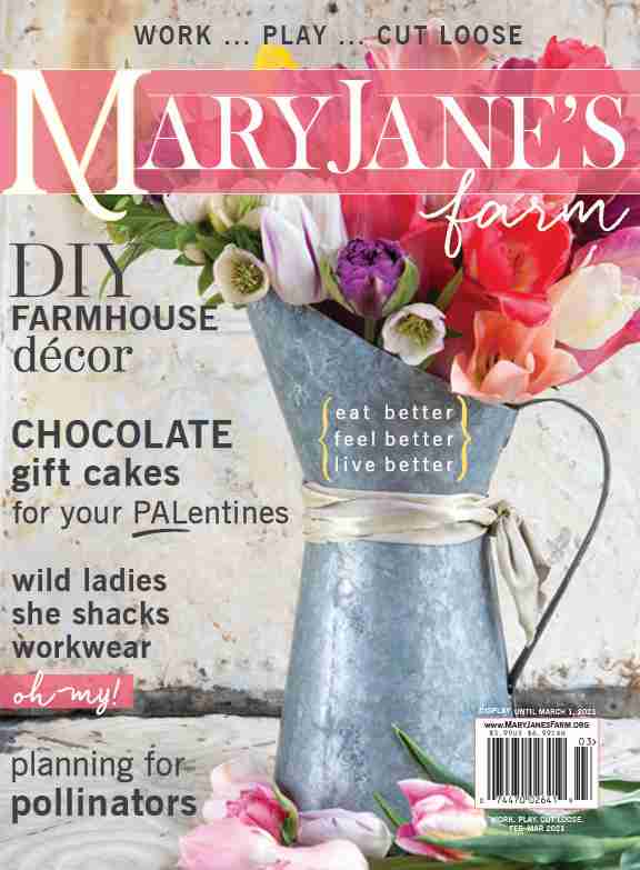 Magazine: Work Play Cut Loose (February-March 2021)
