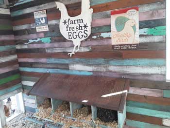Laura's Chicken Coop