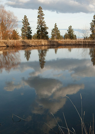 pond at MaryJanesFarm