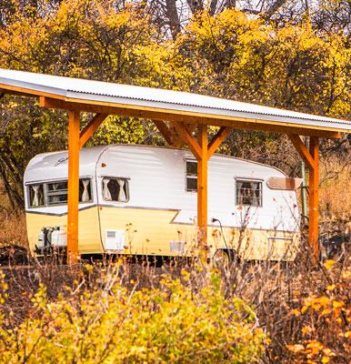 yellow shasta