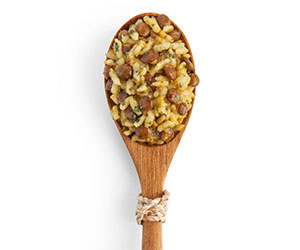 Backpacking Meals: Organic Curry in a Hurry