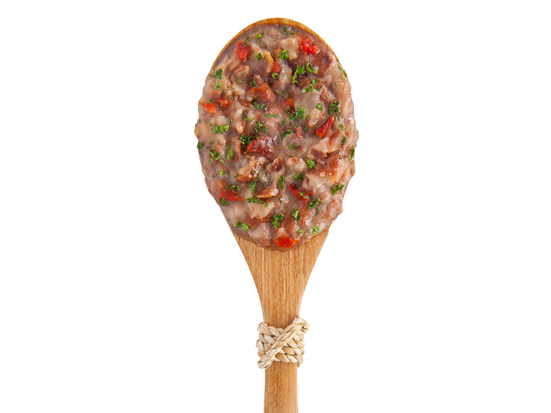 Pinto Bean Flakes by MaryJane's Farm — freeze-dried backpacking meal