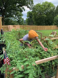 Lorelei's Garden