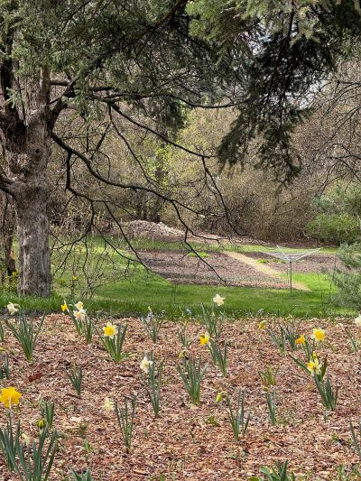 flower lawn