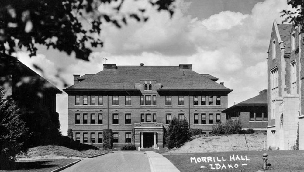 black and white morill hall