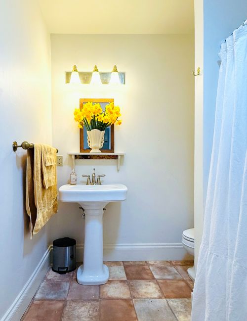 ruby begonia bathroom
