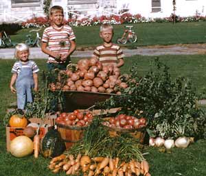 A summer’s produce