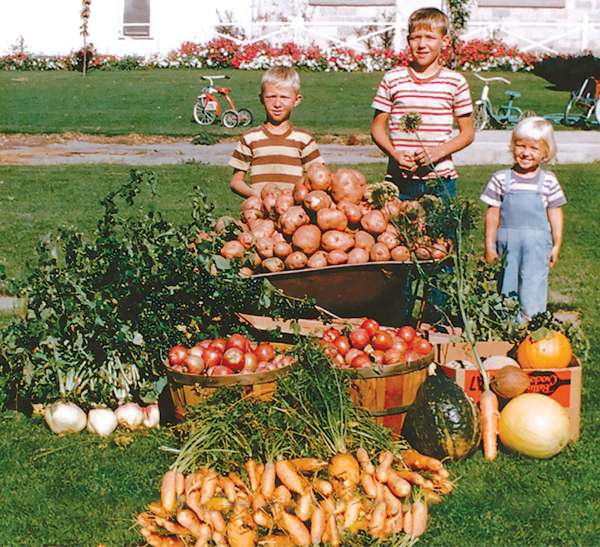 A summer’s produce ready to be stored on the farm