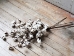 Cotton Stem, Large - EBD80159
