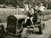 Farmgirl Sisterhood Membership - MJF-SisterhoodMembership