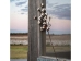 Cotton Stem, Large - EBD80159